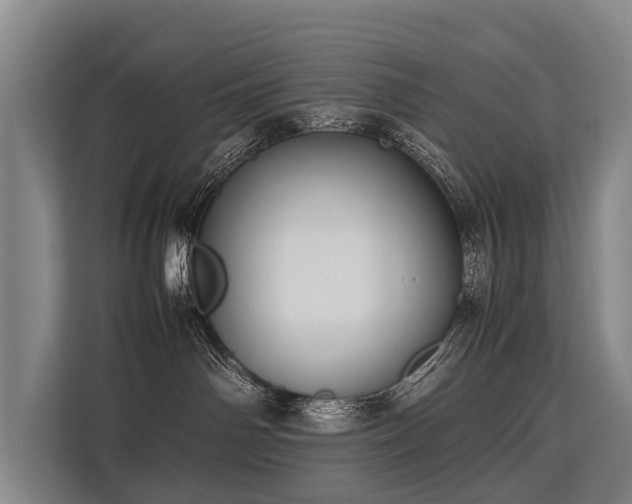 X0000113640142200909181504