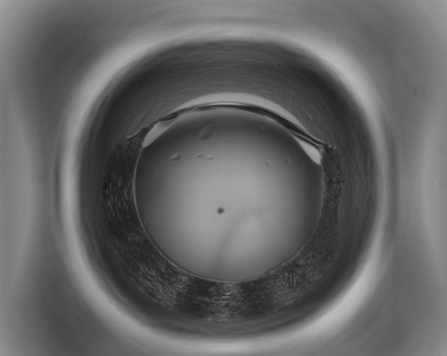 X0000113640143200909181504