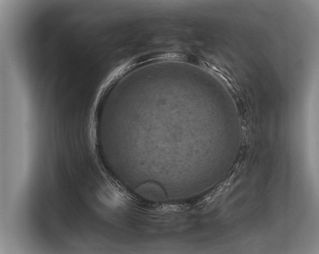 X0000113640149200909181503