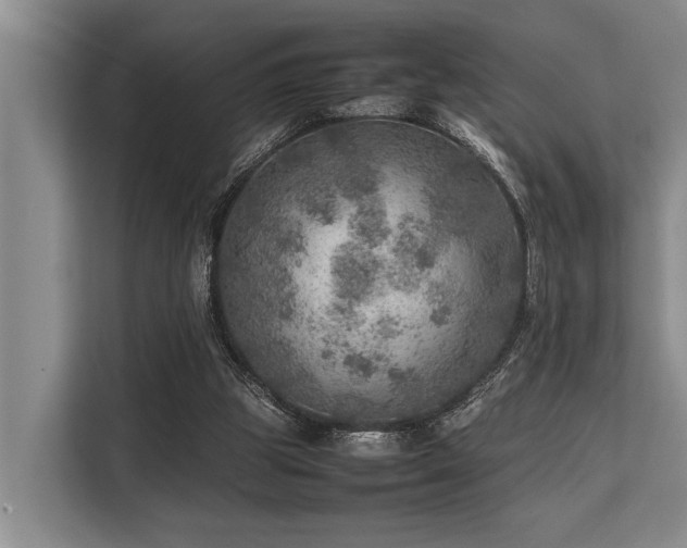 X0000113640153200909181503