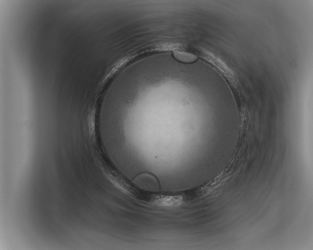 X0000113640155200909181503