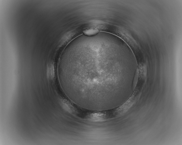 X0000113640158200909181503