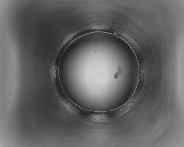 X0000113640160200909181503