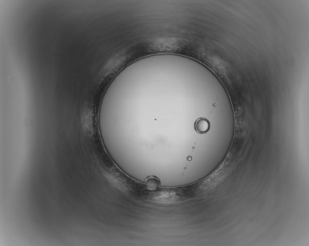 X0000113640162200909181503