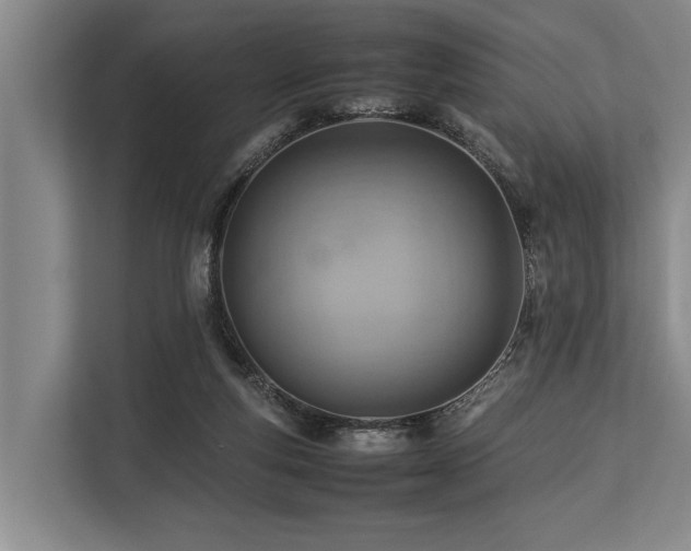 X0000113640163200909181503