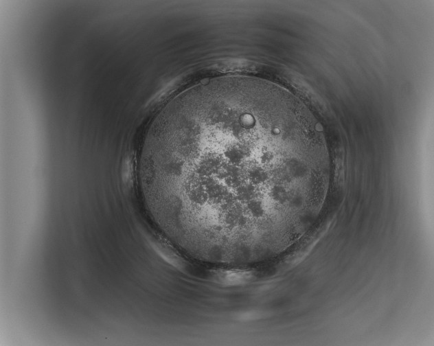 X0000113640165200909181504