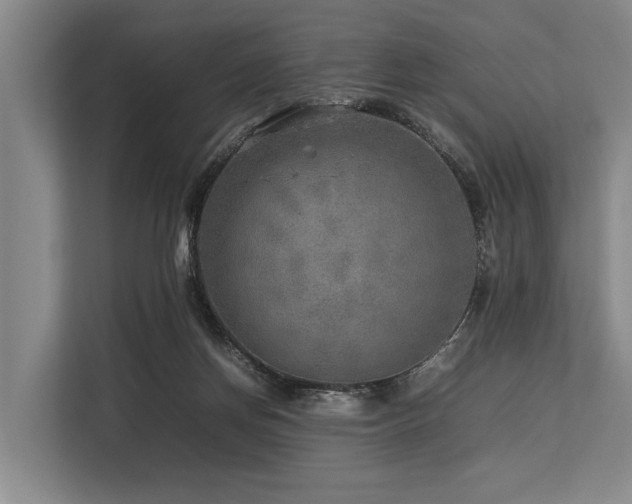 X0000113640166200909181504