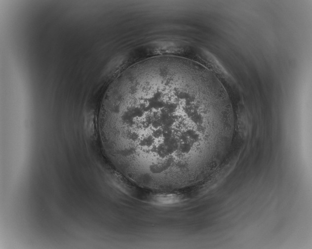 X0000113640169200909181504