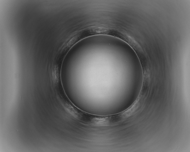 X0000113640170200909181504