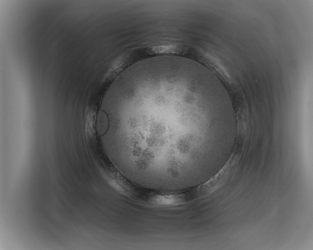 X0000113640171200909181504