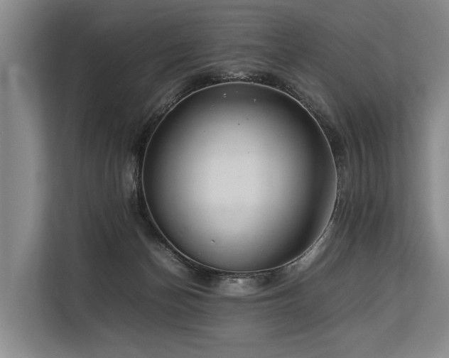 X0000113640174200909181504