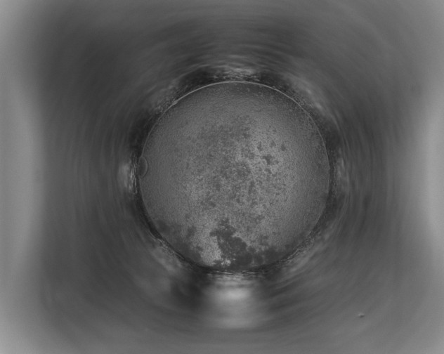 X0000113640177200909181504