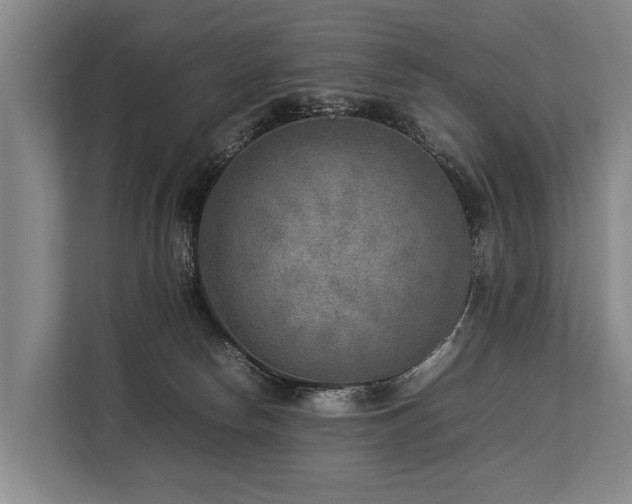 X0000113640178200909181504