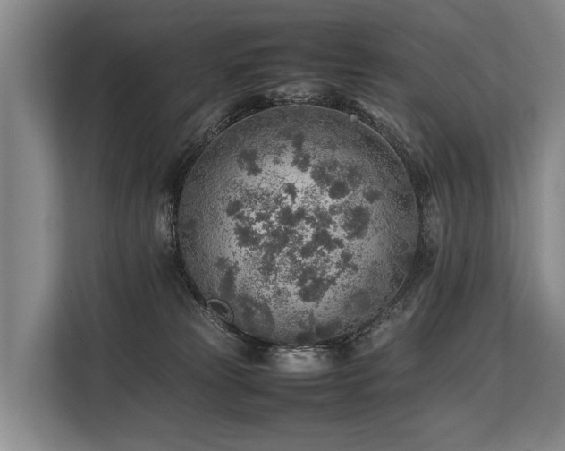 X0000113640181200909181504