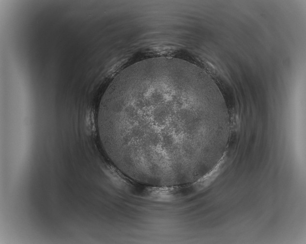 X0000113640182200909181504