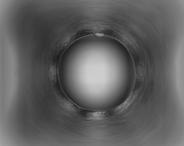 X0000113640184200909181504