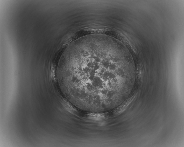 X0000113640185200909181504