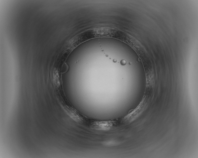 X0000113640187200909181504