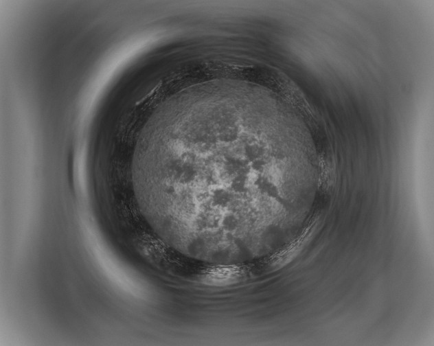 X0000113640189200909181504