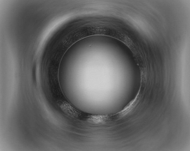 X0000113640190200909181504