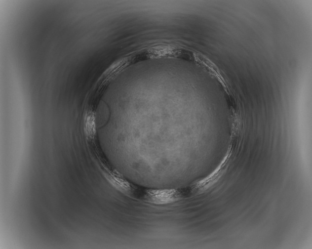 X0000113640191200909181504