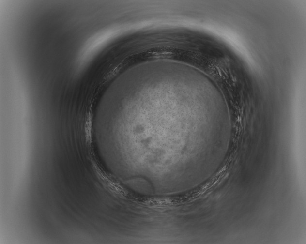 X0000113640194200909181503