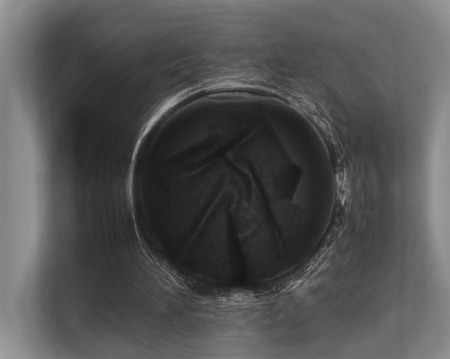 X0000113640196200909181503