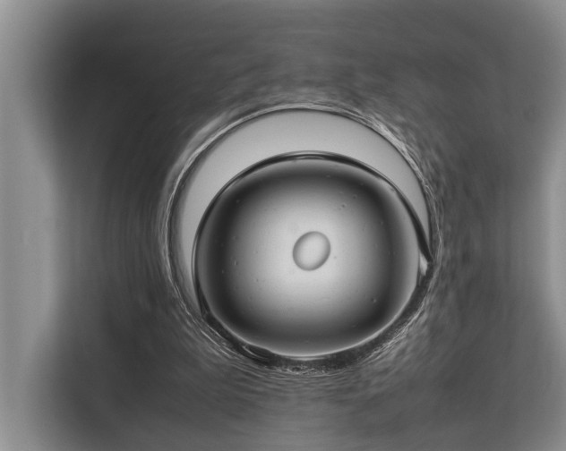 X0000113640199200909181503