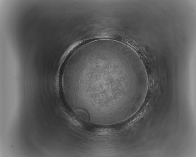 X0000113640200200909181503