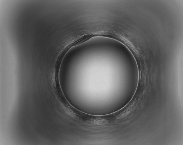 X0000113640201200909181503