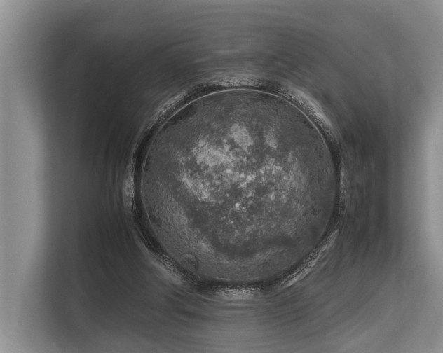 X0000113640202200909181503