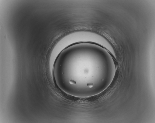 X0000113640207200909181503