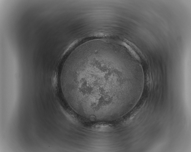 X0000113640208200909181503