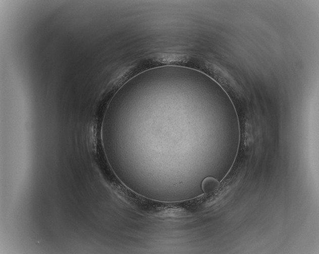 X0000113640210200909181503