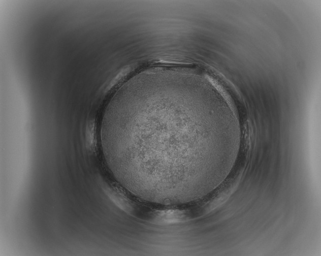 X0000113640212200909181503