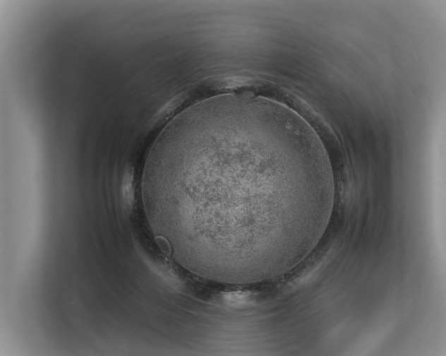 X0000113640216200909181503