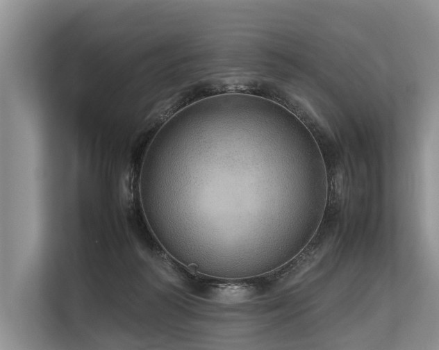 X0000113640218200909181503