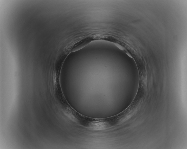 X0000113640219200909181503