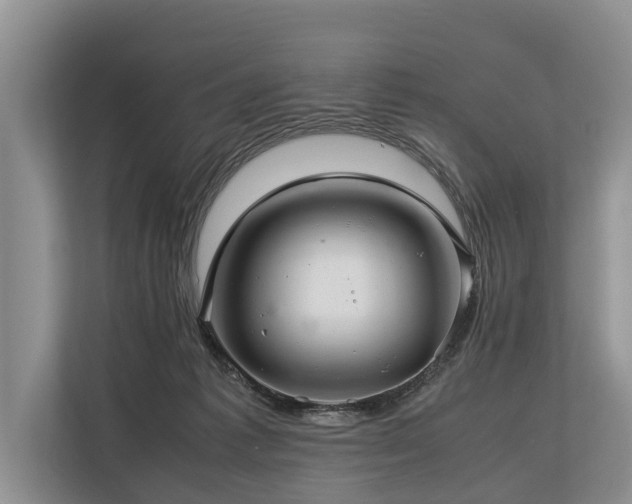 X0000113640221200909181503