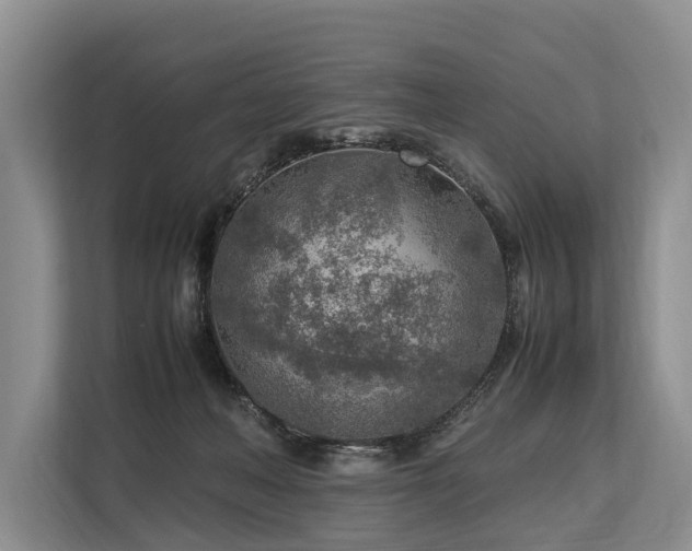 X0000113640222200909181503