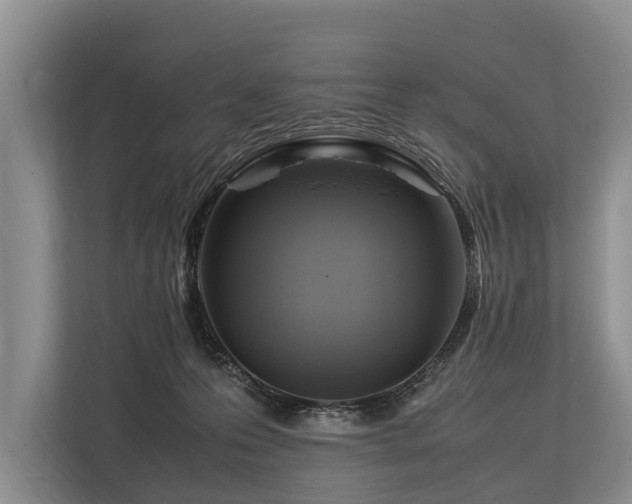 X0000113640223200909181503