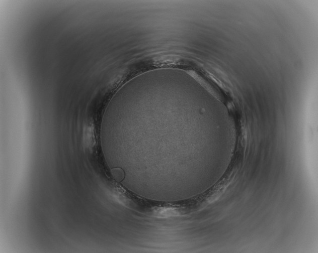 X0000113640224200909181503