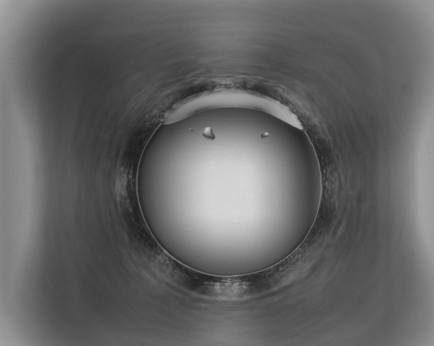 X0000113640225200909181503