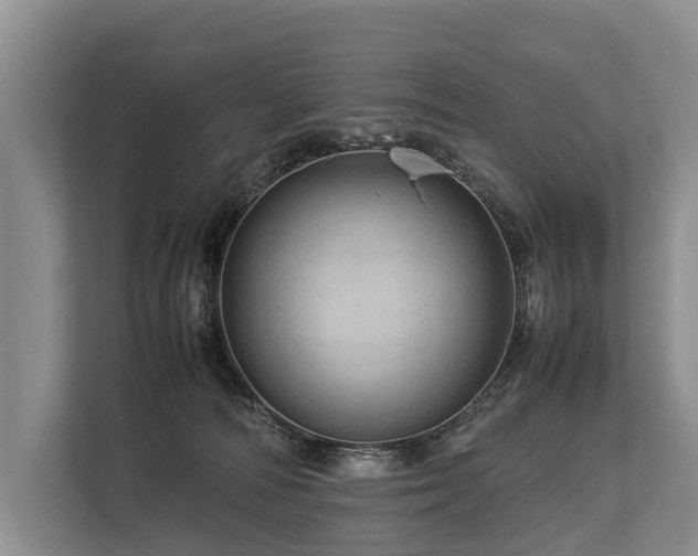 X0000113640226200909181503