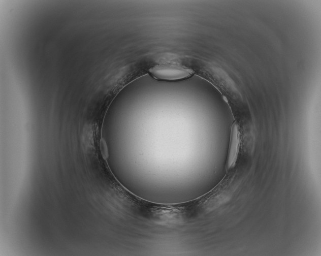 X0000113640229200909181503