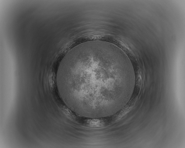 X0000113640230200909181503