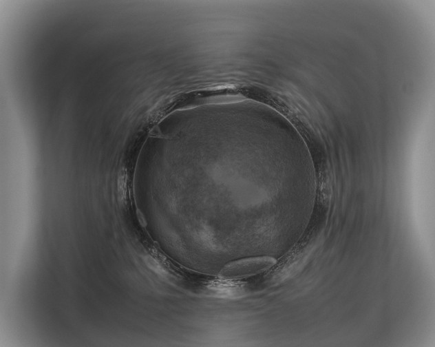 X0000113640231200909181503