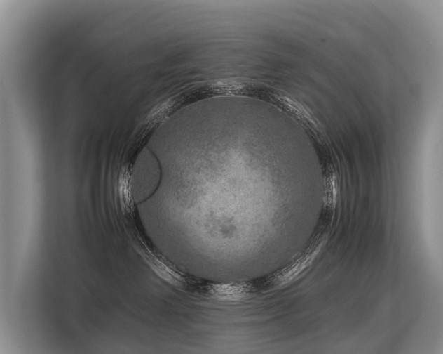 X0000113640238200909181503