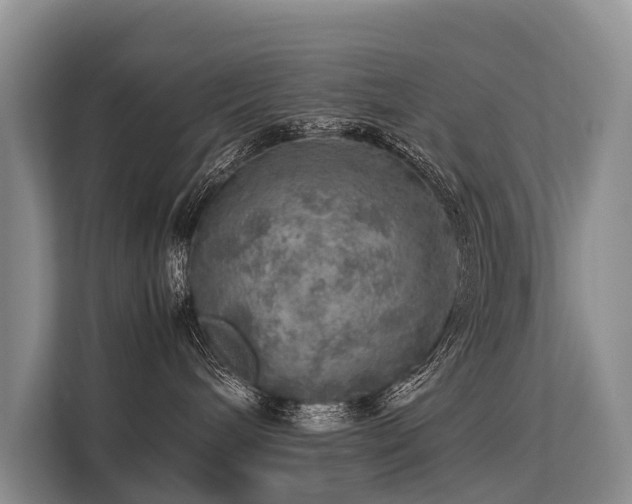 X0000113640240200909181503