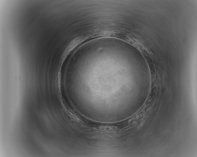 X0000113640242200909181502